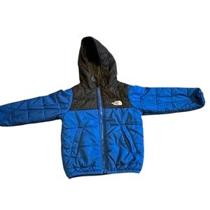 The North Face Vibrant Blue Jacket